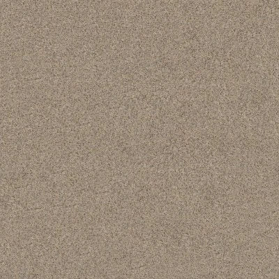 ZZ265-0173B