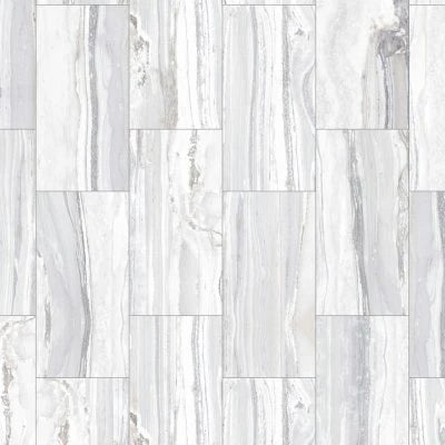 Exotic Stone Arctic Polished 12x24