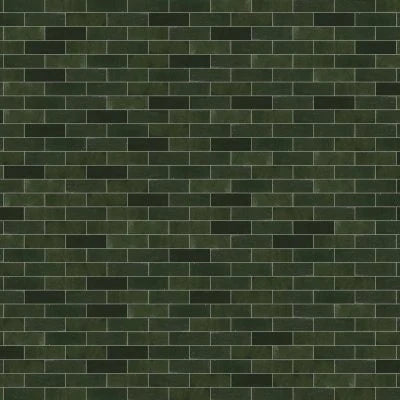 Zagora 2" x 6" Glossy Zellige Field Tile in Vert Mousse