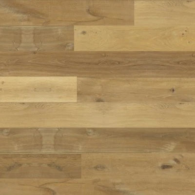 The Alta Vista Collection