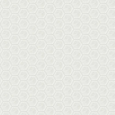 Marble Carrara White, Hexagon, 6, Straight Edge, Polished