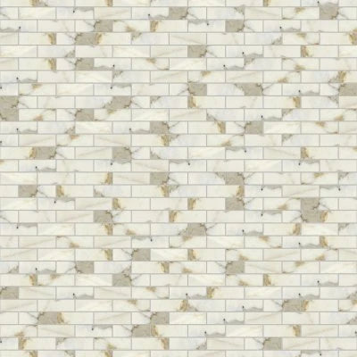 Classic 2.0 2" x 6" Floor & Wall Mosaic in Calacatta Oro