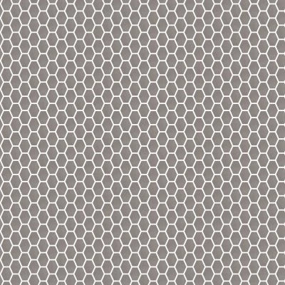 Newton Silver Semi-Polished Hex (10X14 Sheet)