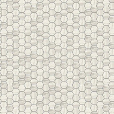 Exotic Stone Arctic Natural Hex Mosaic