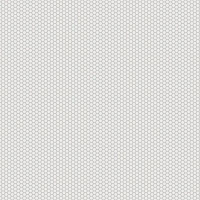 Le Cafe 1" x 1" Hexagon Matte Porcelain Mosaic Tile in White