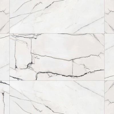 Gemma 24" x 48" Polished Porcelain Field Tile in Bianca