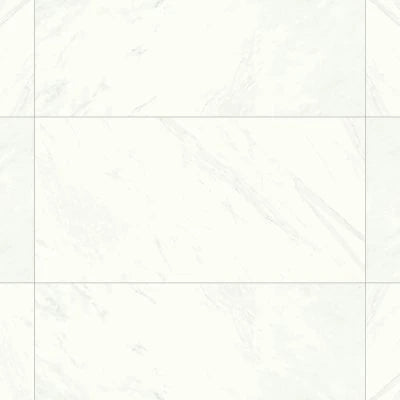 Magnifica 24" x 48" - 8mm Honed Porcelain Tile in Luxe White
