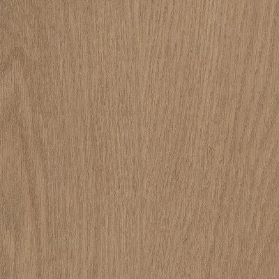 Willow Oak 12m