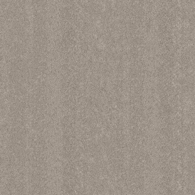 Refined Radiance II