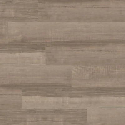 SHOREBIRD ASH LLP360