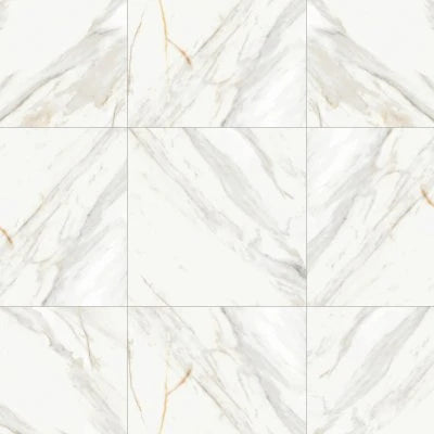 Shandar 24" x 24" Matte Porcelain Field Tile in Arezzo Bianco
