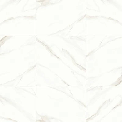 Shandar 24" x 24" Matte Porcelain Field Tile in Statuario