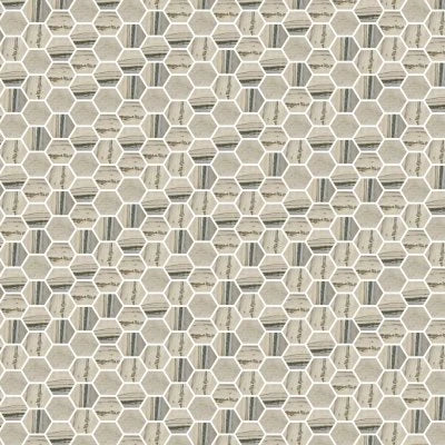Exotic Stone Fossil Polished Hex Mosaic