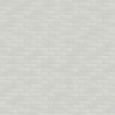 Zenia 2" x 6" Matte Porcelain Floor & Wall Mosaic in Moon