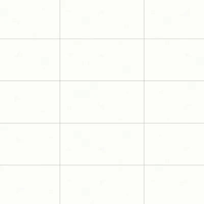 Shandar 12" x 24" Matte Porcelain Field Tile in Plain White