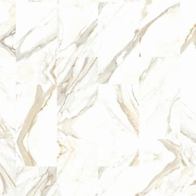 DORIAN POLISHED 12X24