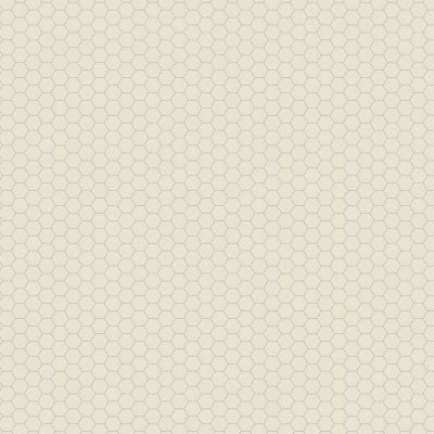 Unglazed Mosaics - Biscuit, Hexagon, 2X2, Matte (0A13)
