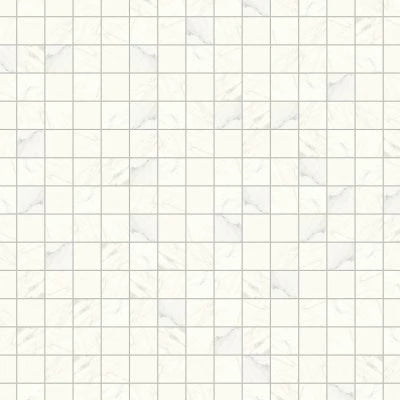 Magnifica 4" x 4" Honed Porcelain Mosaic Tile in Luxe White