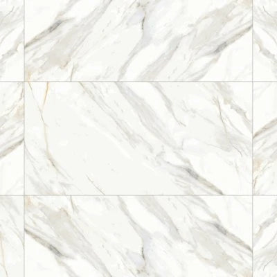 Shandar 24" x 48" Polished Porcelain Field Tile in Arezzo Bianco