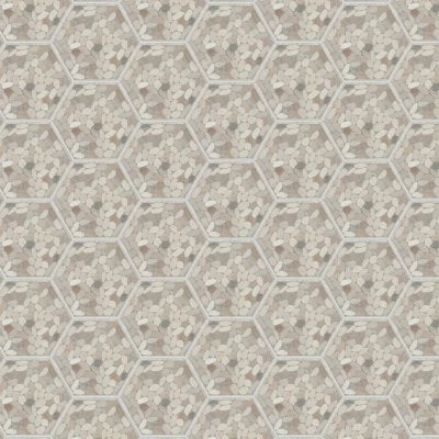 Pebble Oasis Seashell, Framed Hex Pebble, Tumbled