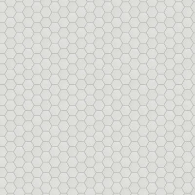 Dolomite 3" Honed Hexagon Marble Mosaic