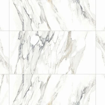Prati 24" x 48" Honed Porcelain Field Tile in Calacatta Borghini Warm