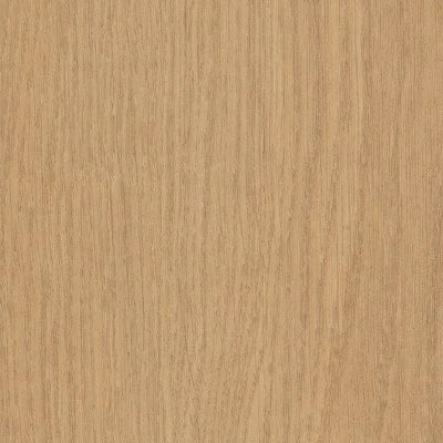 Willow Oak 30 M