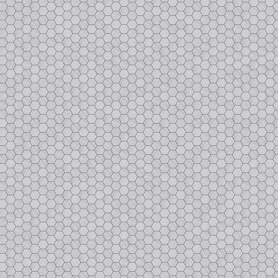 Natural Stone Dolomite Hexagon Mosaic