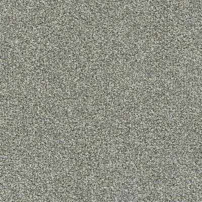 SILVER TOUCH I