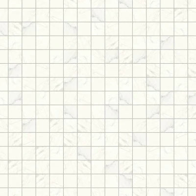 Magnifica 4" x 4" Honed Porcelain Mosaic Tile in Luxe White