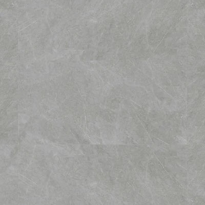 Shandar 24" x 48" Matte Porcelain Field Tile with Mould in Florence Grey