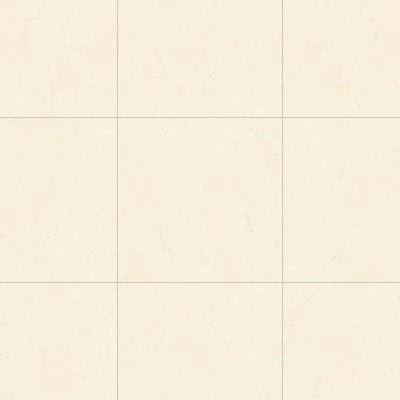 Shandar 24" x 24" Polished Porcelain Field Tile in Crema Marfil Light