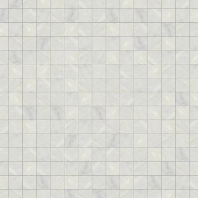 Monet 4" x 4" Honed Marble Decorative Tile in Oriental White