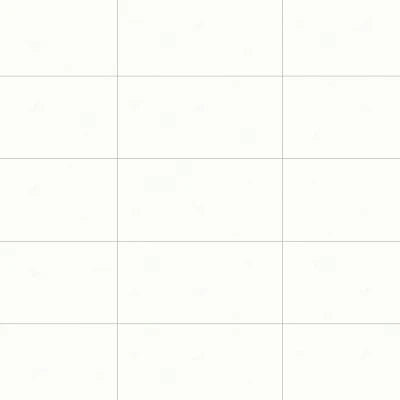 Shandar 12" x 24" Polished Porcelain Field Tile in Plain White