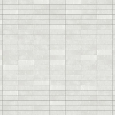 Cloé 2.5" x 8" Glossy Ceramic Tile in White