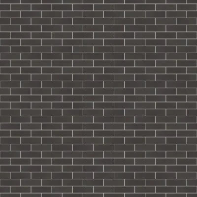 Zenia 2" x 6" Matte Porcelain Floor & Wall Mosaic in Gravity