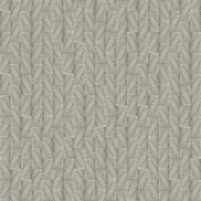 ANCIENT SILVER UNFILLED & TUMBLED 3X6-TRV