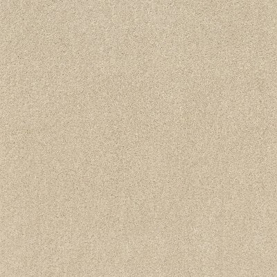 FS219-00100