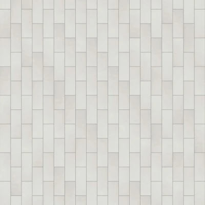 PASSION BLANCO GLOSSY 3X8-POR