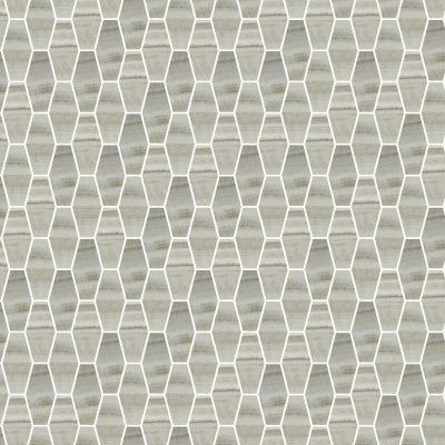 Onyx Silver Natural Elongated Hex Mosaic