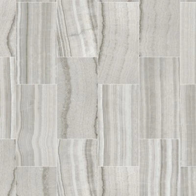 Onyx Silver Polished 12x24
