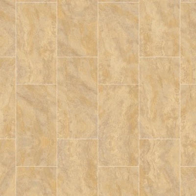Eternity Gold 12x24 Natural
