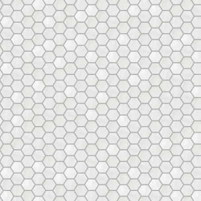 Dolomite White Natural Hex Mosaic