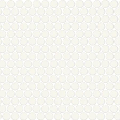 Color Wheel Mosaic Matte Arctic White, Penny Rounds, Matte
