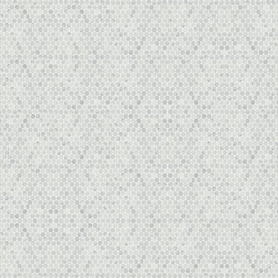 Monet Honed Marble Mosaic 8 Tile in White Carrara