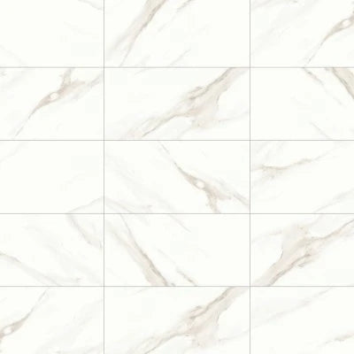 Shandar 12" x 24" Polished Porcelain Field Tile in Statuario