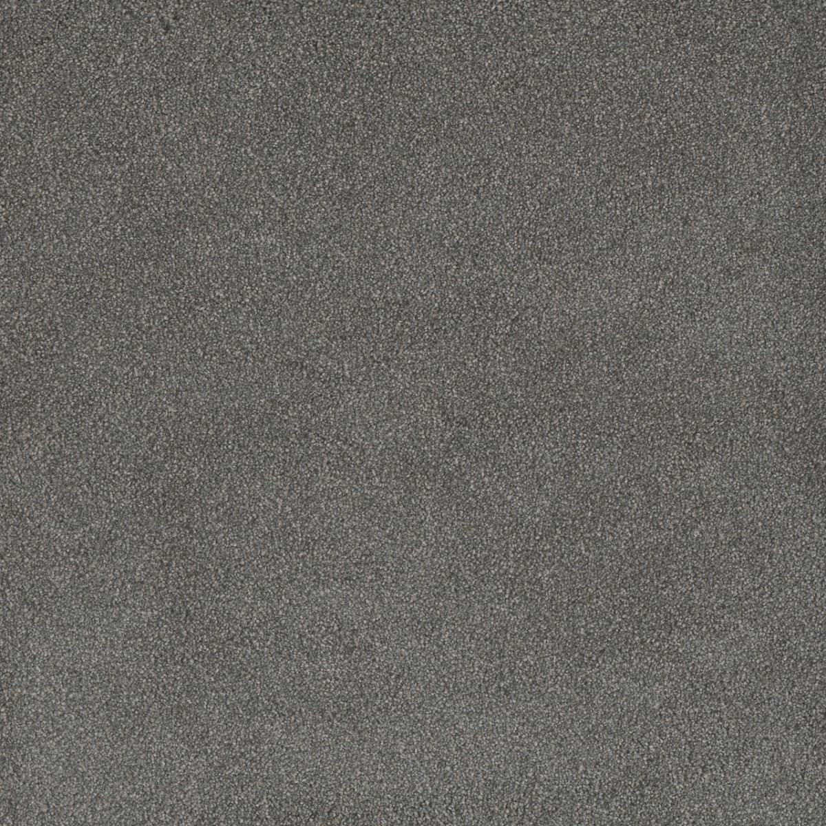 DreamWeaver® Palmetto III Textured Carpet