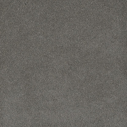 DreamWeaver® Palmetto III Textured Carpet