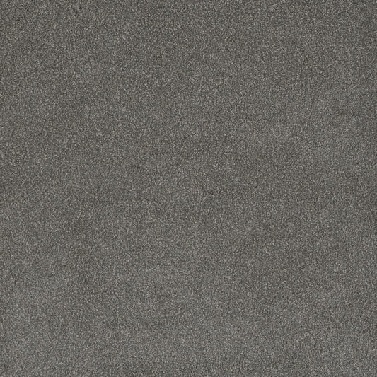 DreamWeaver® Palmetto III Textured Carpet
