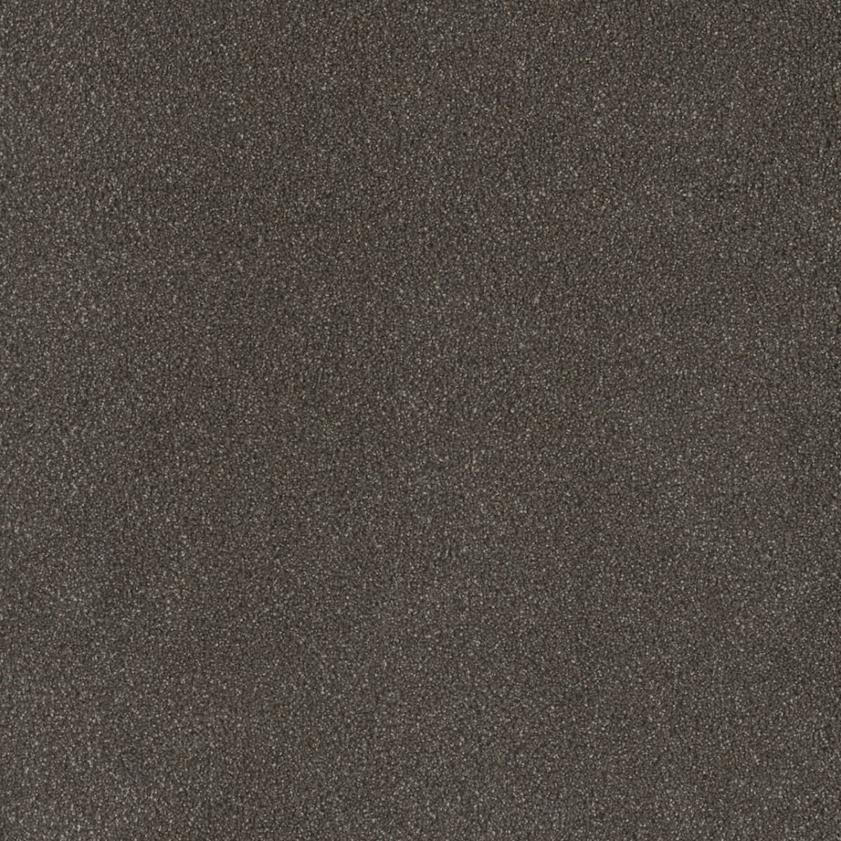 DreamWeaver® Palmetto III Textured Carpet